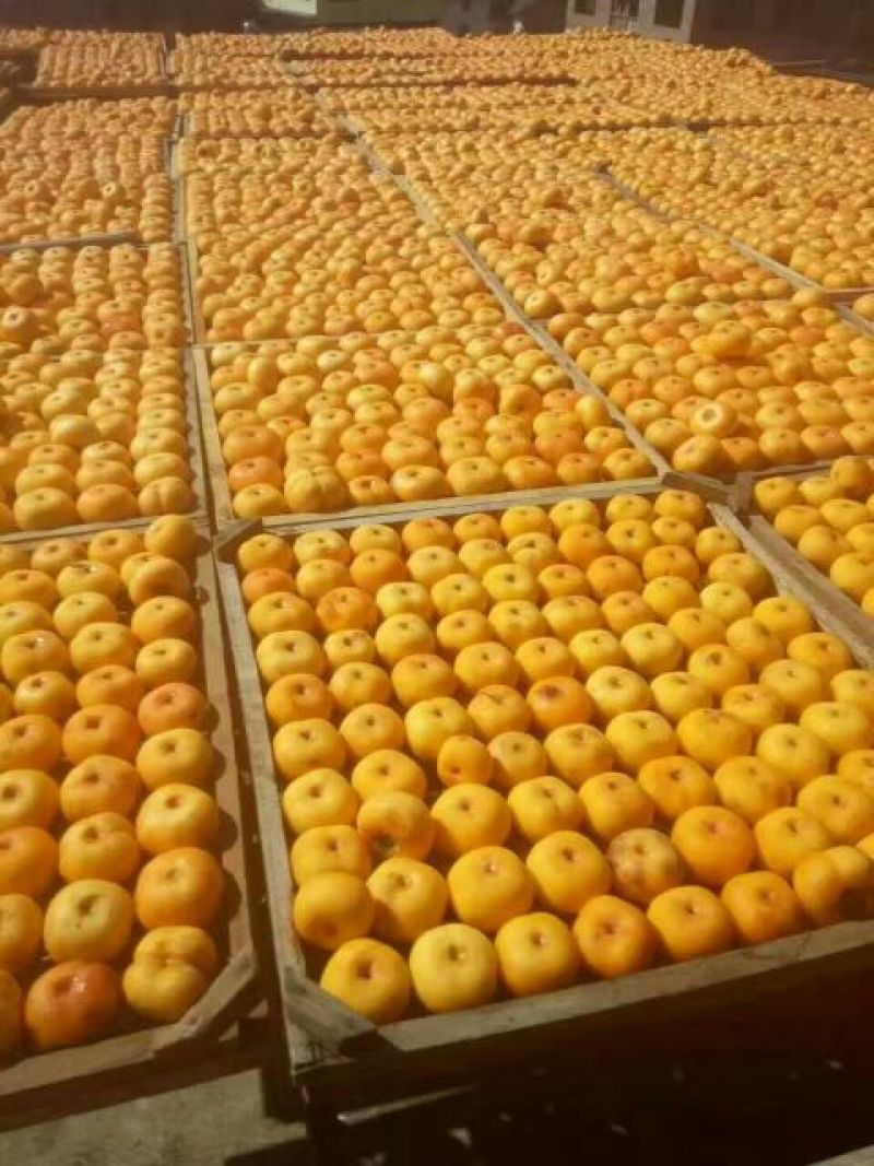 柿饼2~2.5两