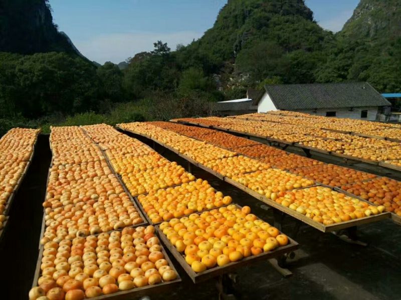 柿饼2~2.5两