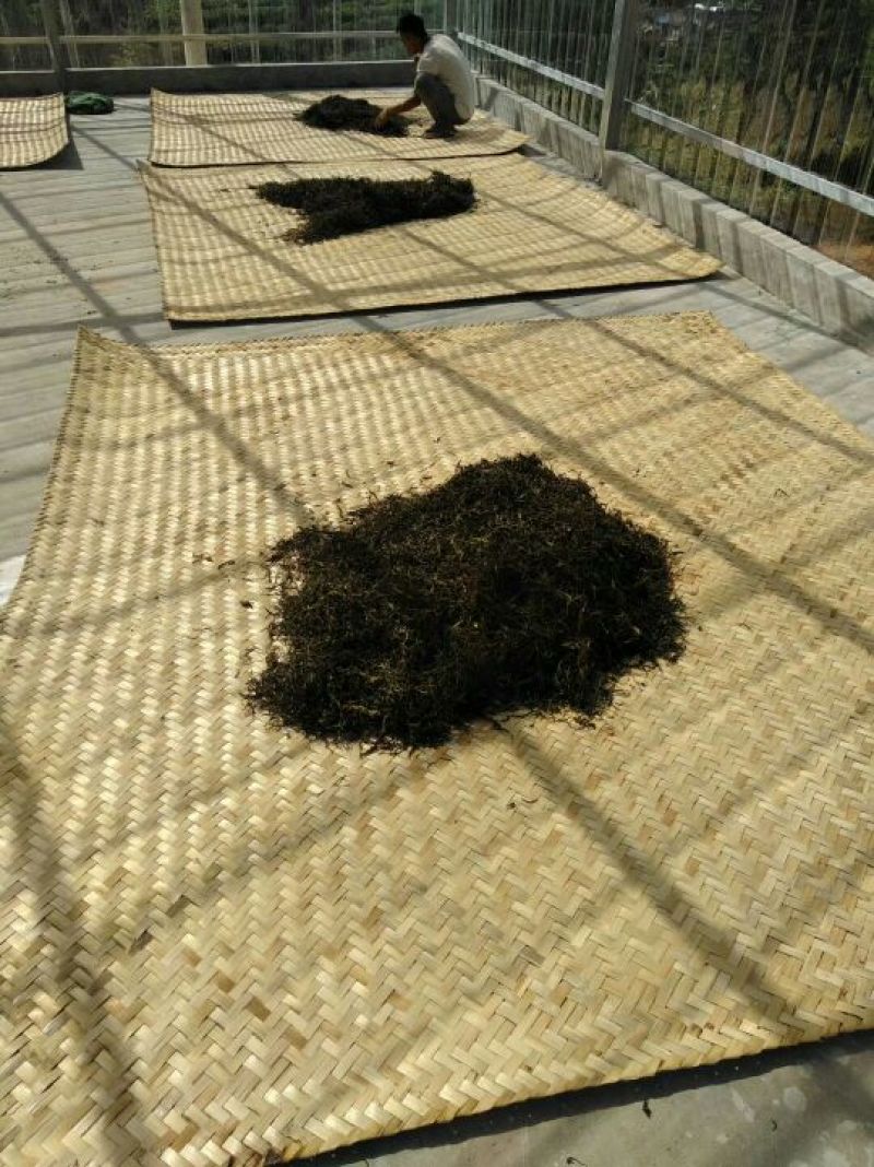 古树茶一级