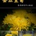 花茶