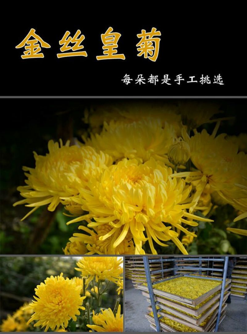 花茶