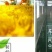 皇菊茶适合各大超市商店批发