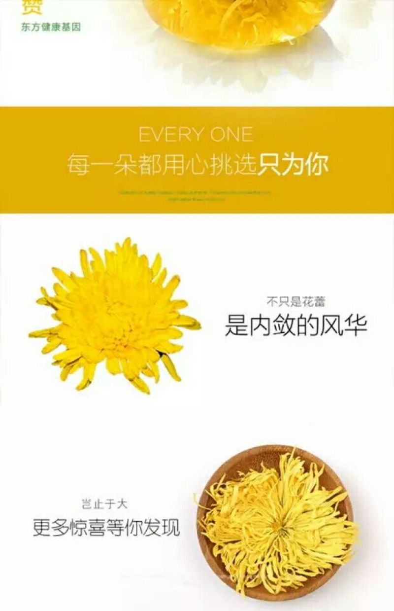 皇菊茶适合各大超市商店批发