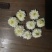 杭白菊散装