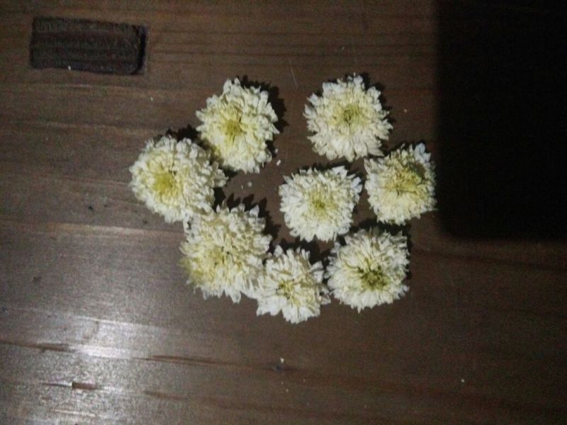 杭白菊散装
