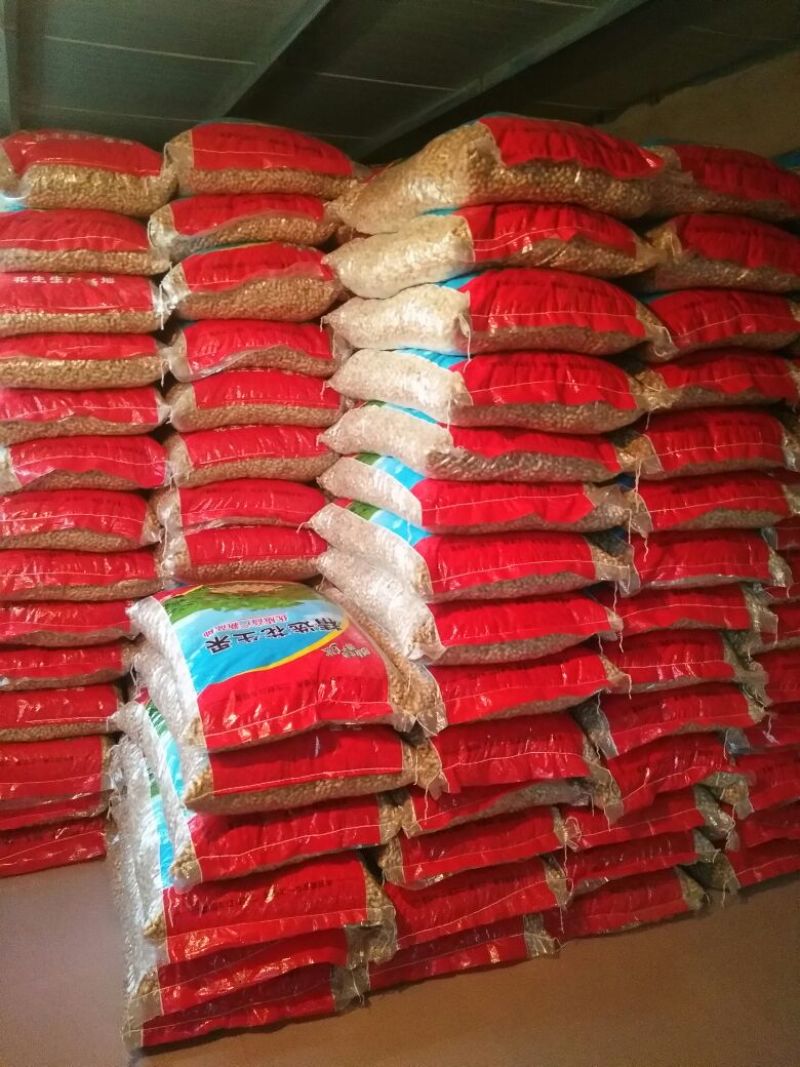 花生干货带壳精选花生果食品厂高端货