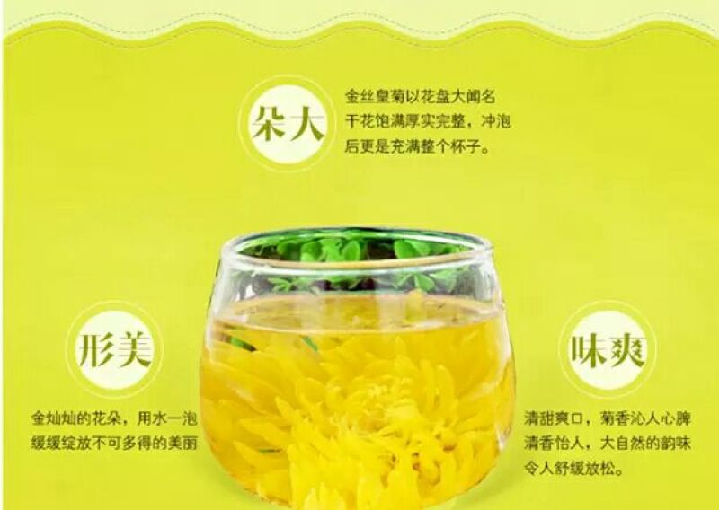 金丝皇菊茶