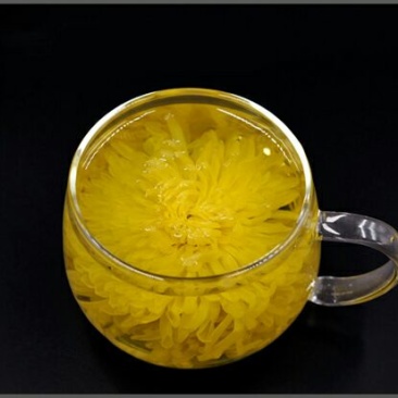 金丝皇菊茶