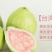 西瓜番石榴苗30~50cm