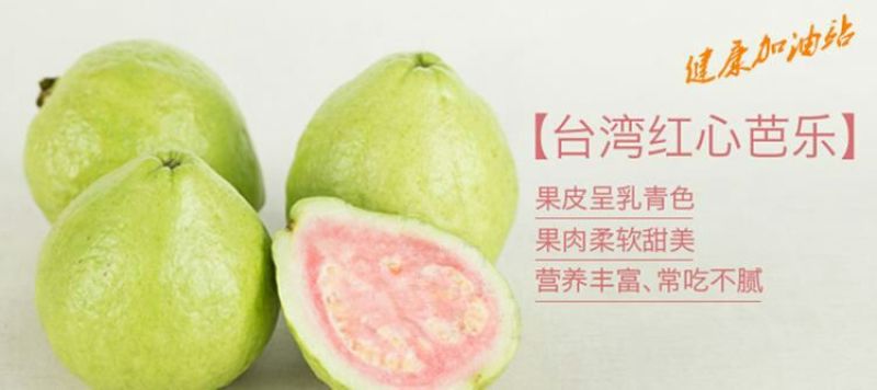 西瓜番石榴苗30~50cm