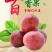 百香果70~80g紫果