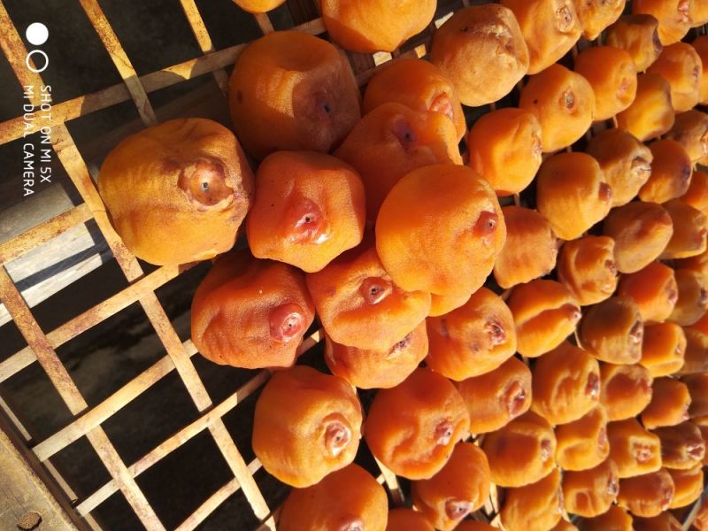 柿饼1两以下