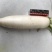 白萝卜1.5~2斤起