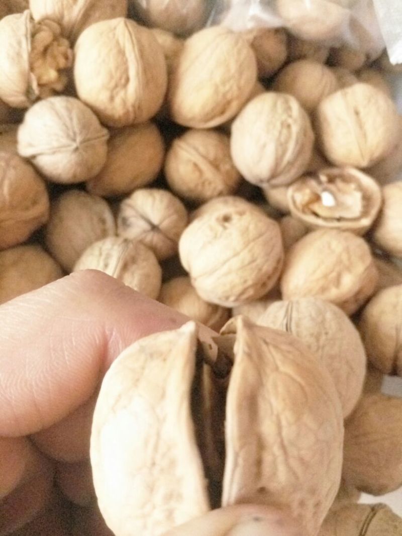 核桃新疆阿克苏185纸皮核桃，洗过，30mm以上