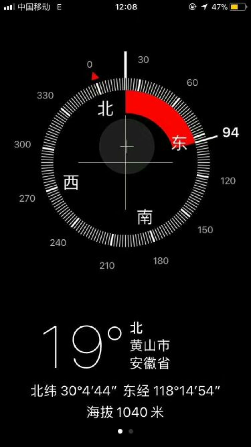 金丝皇菊茶一级