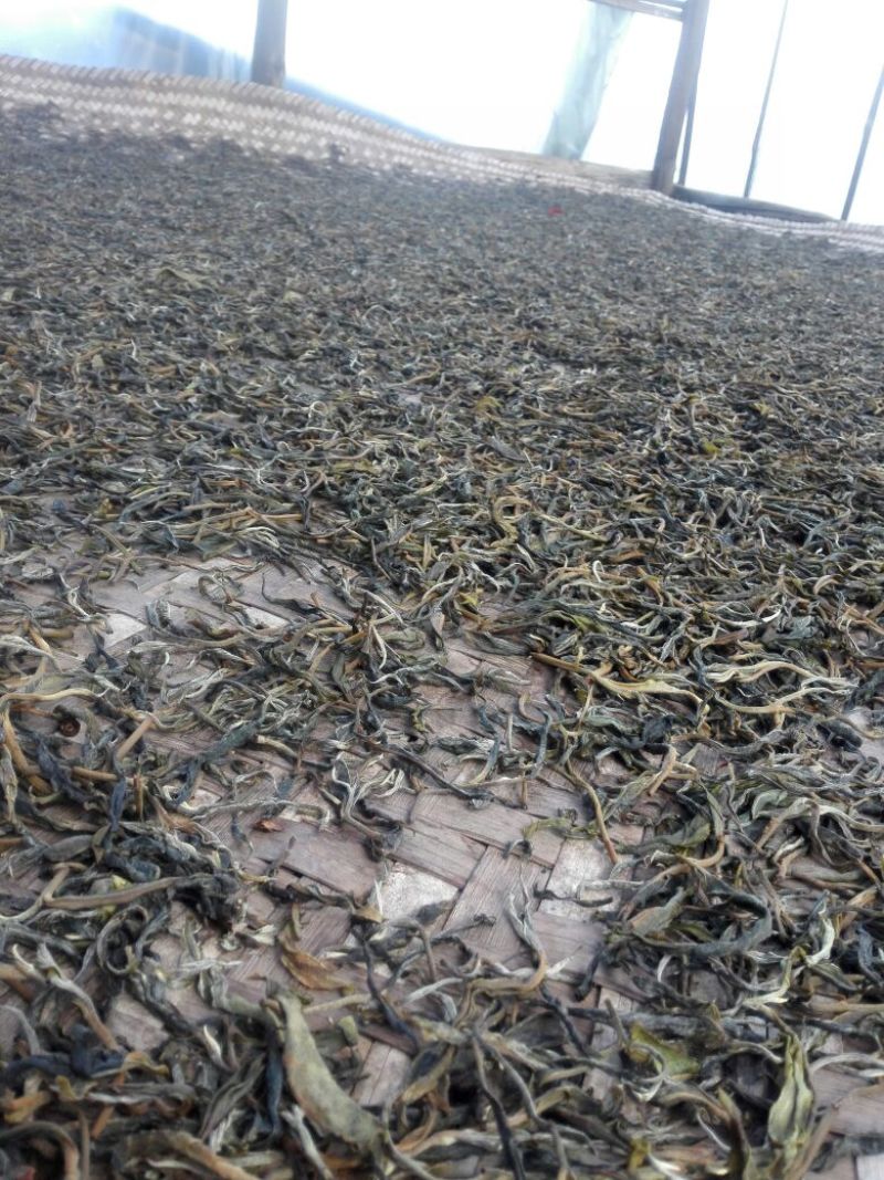 普洱茶特级