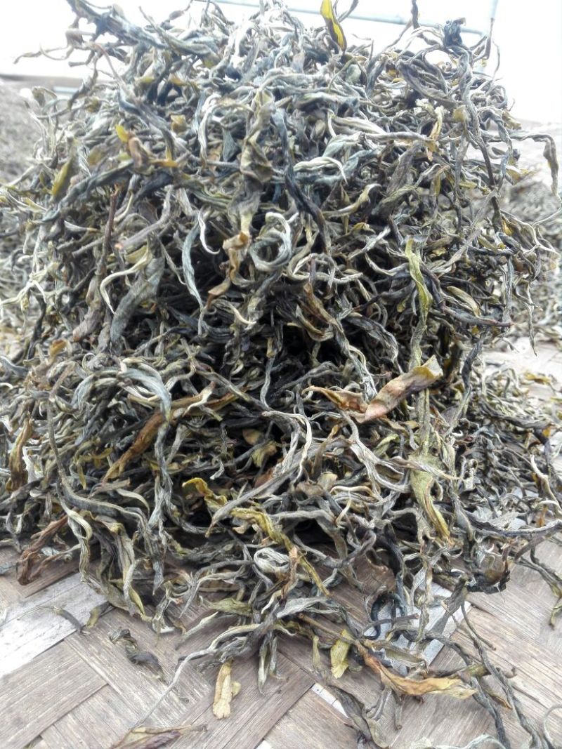 普洱茶特级