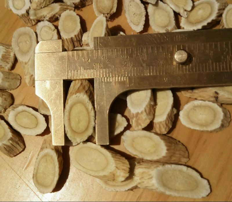 黄芪切片1cm