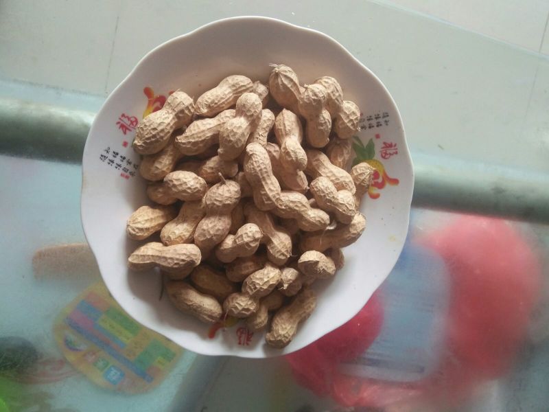 9616.干货带壳，产量高，抗病性强，耐旱，耐涝