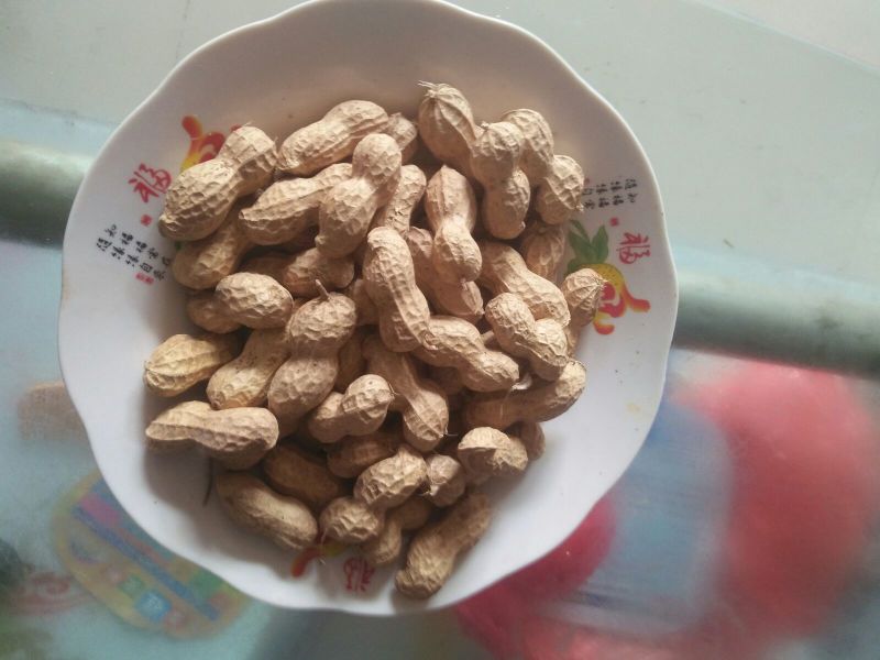 9616.干货带壳，产量高，抗病性强，耐旱，耐涝