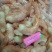 阿根廷红虾L2