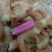 阿根廷红虾L2