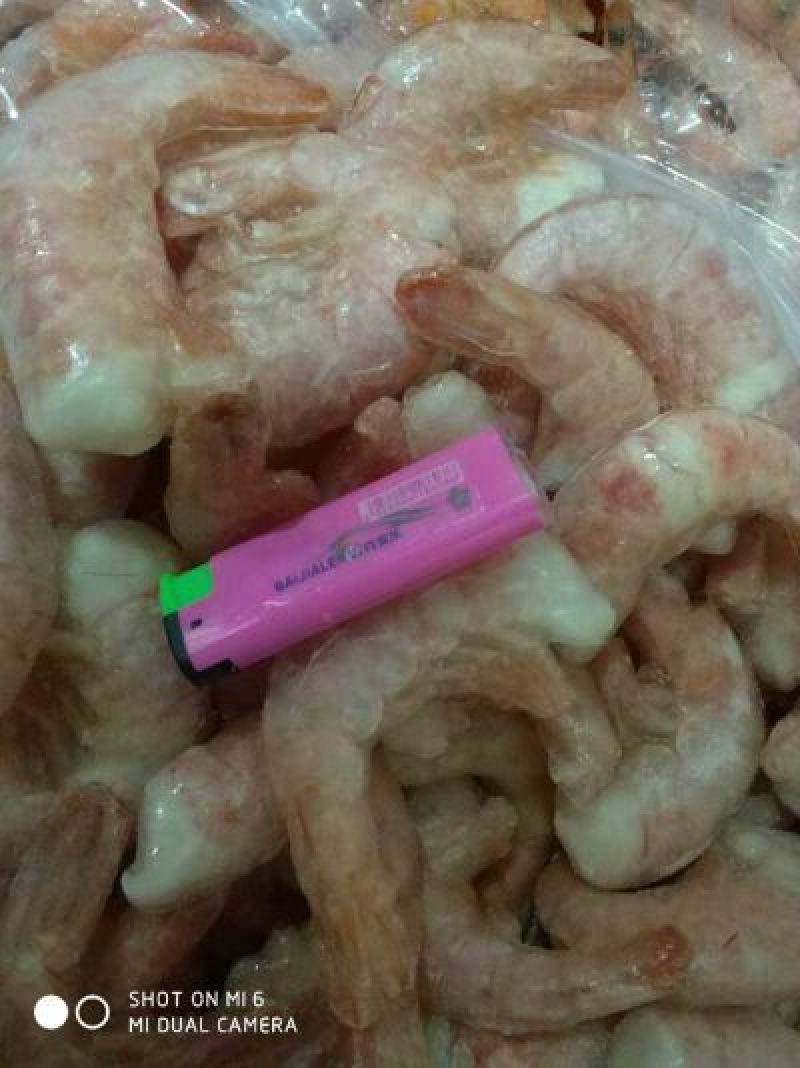 阿根廷红虾L2