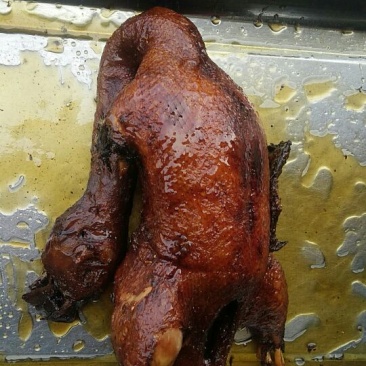 白条鸭