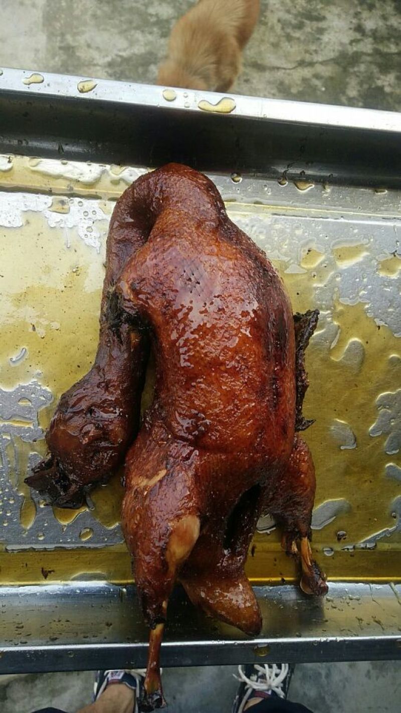 白条鸭