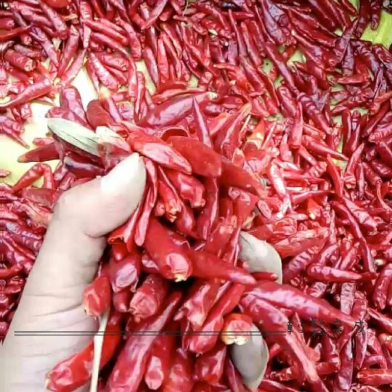 【牛商推荐】新一代干辣椒面精品11量足味浓特辣
