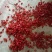【牛商推荐】新一代干辣椒面精品11量足味浓特辣