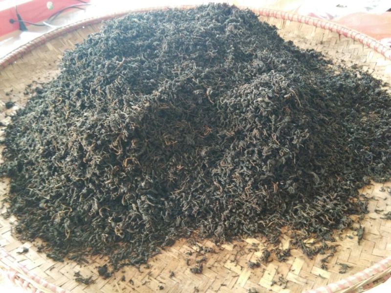 青钱柳茶末茶
