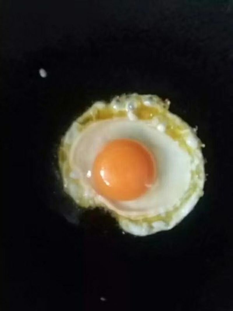 绿壳鸡蛋60~75g食用