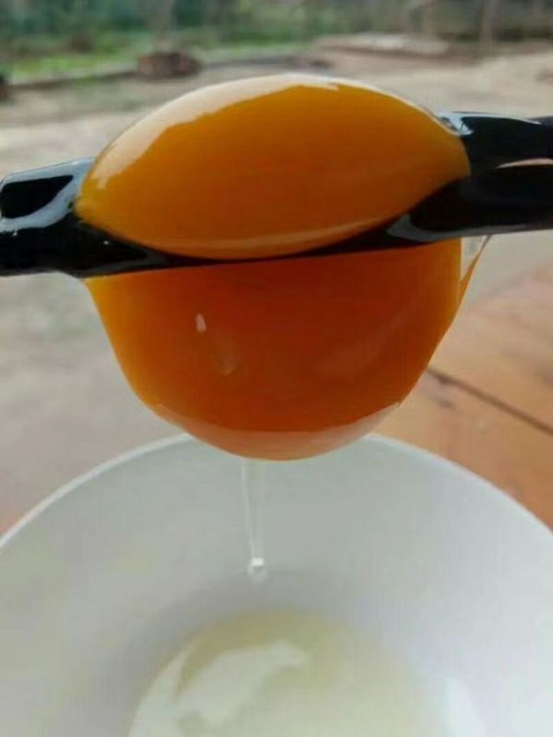 绿壳鸡蛋60~75g食用