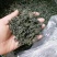 刺五加茶特级