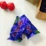 刺五加茶特级