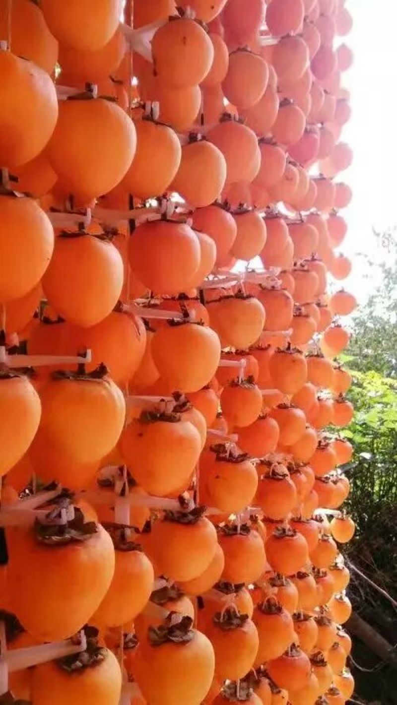 柿饼1~2两