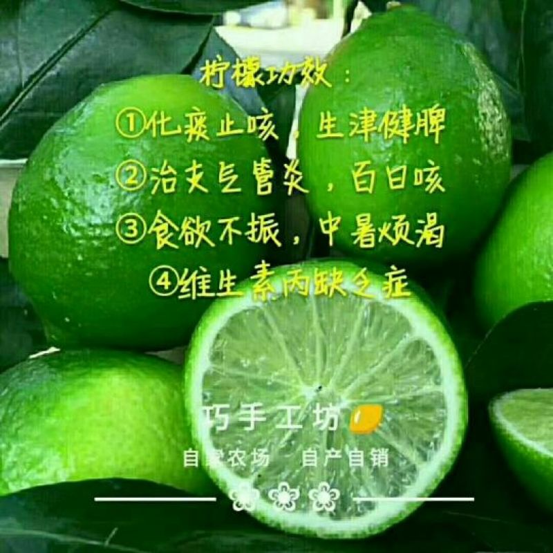 柠檬膏