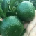 柑普茶特级