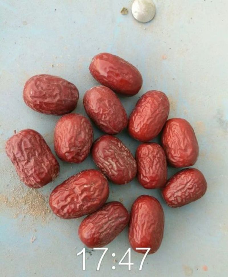 灰枣一级干枣