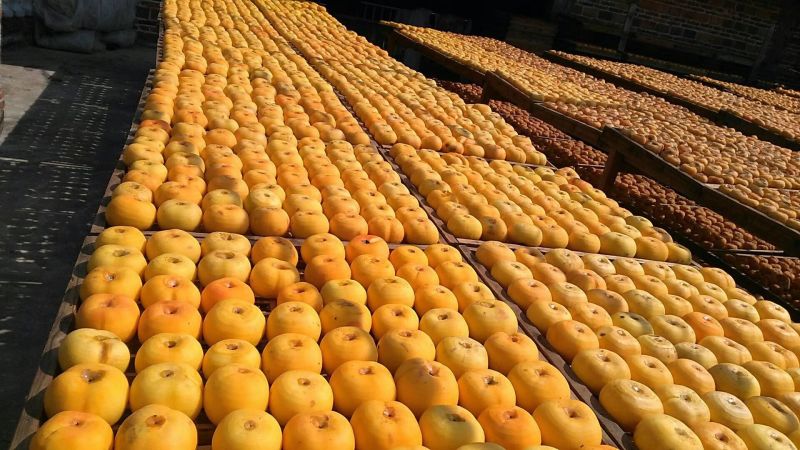 柿饼2.5两以上