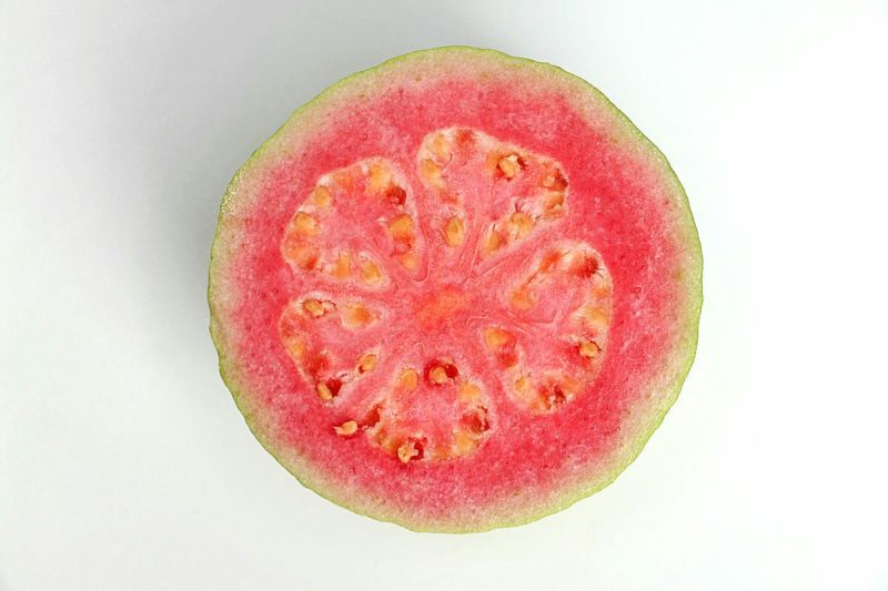 西瓜番石榴苗30~50cm