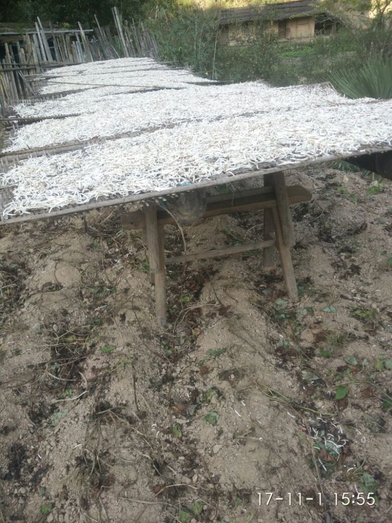 干地瓜丝（红薯丝）农家肥种植，长寿之乡铜鼓县特产地瓜丝