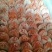 柿饼1~2两