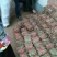 泡桐根速生9501速生9502品种，生长速度快抗旱耐涝