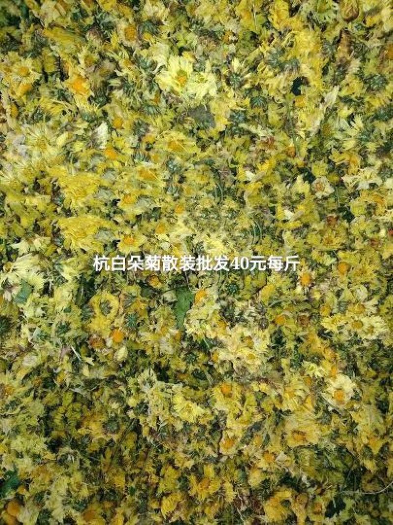 菊花茶特级