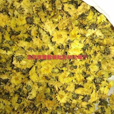 菊花茶特级