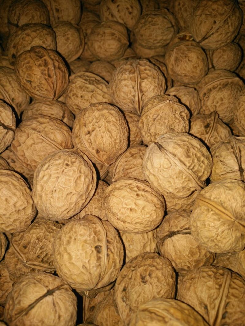 纸皮核桃去皮20~28mm视频看货一手货源诚信经营