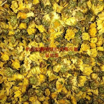 菊花茶特级