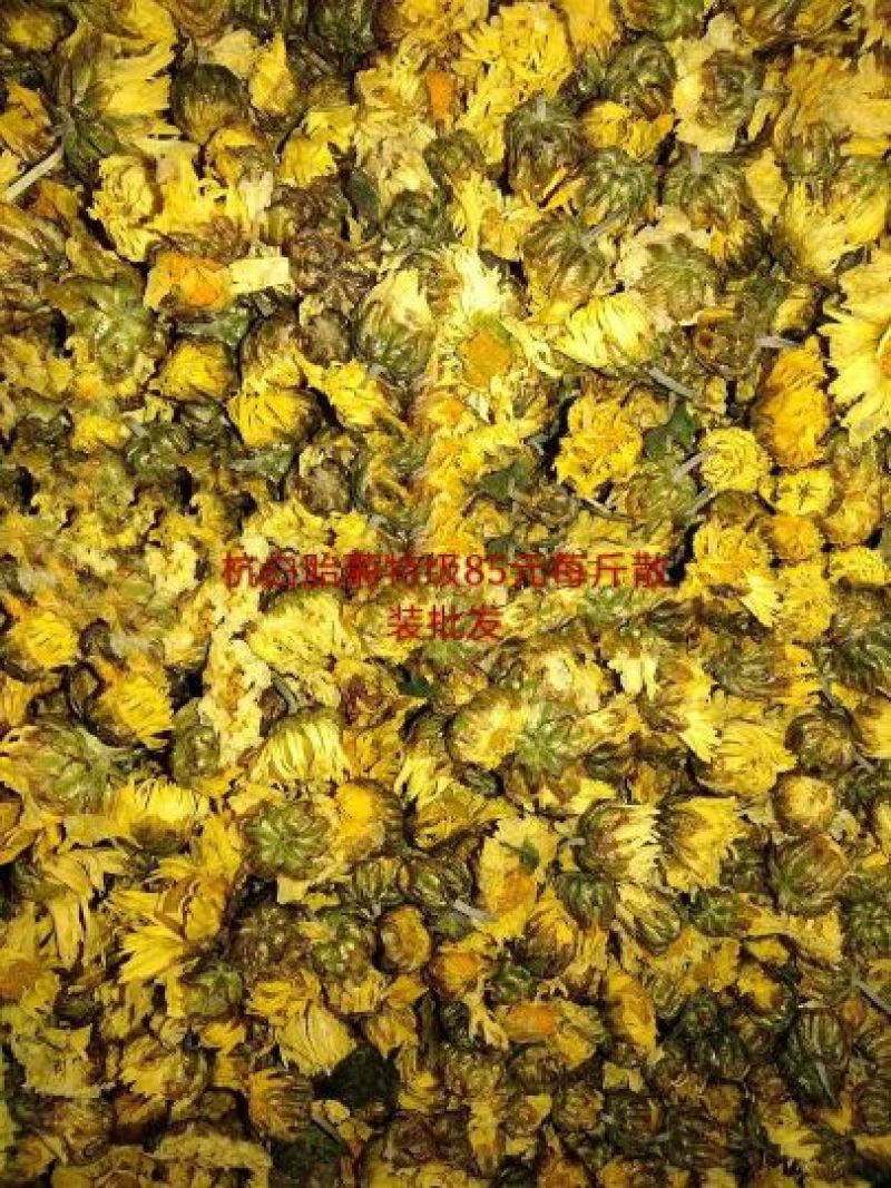菊花茶特级